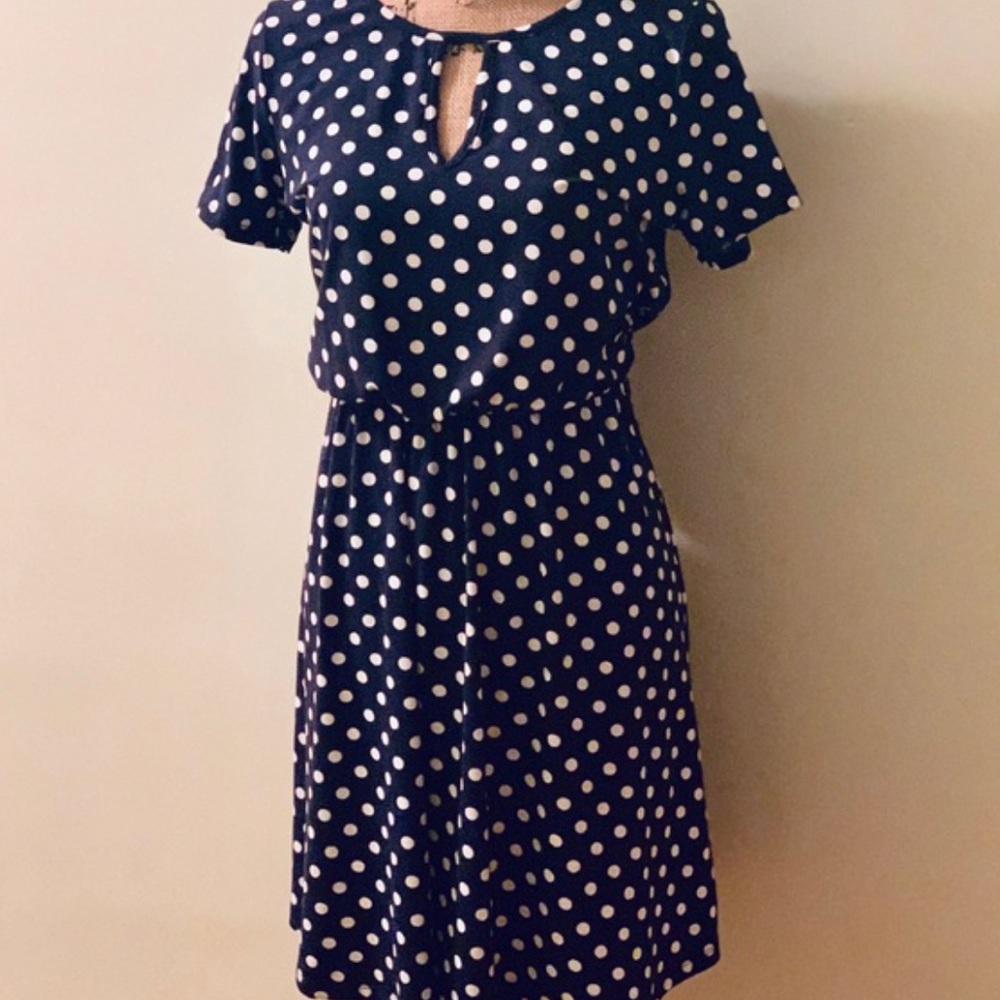French Grey Polka Dot keyhole vintage dress